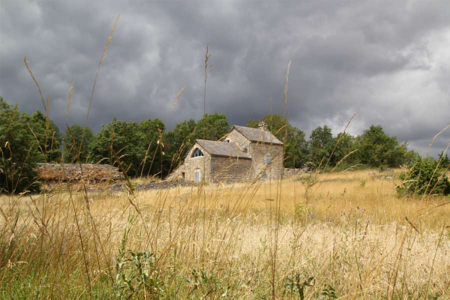 Tarnschlucht mit Eseln - Wanderung