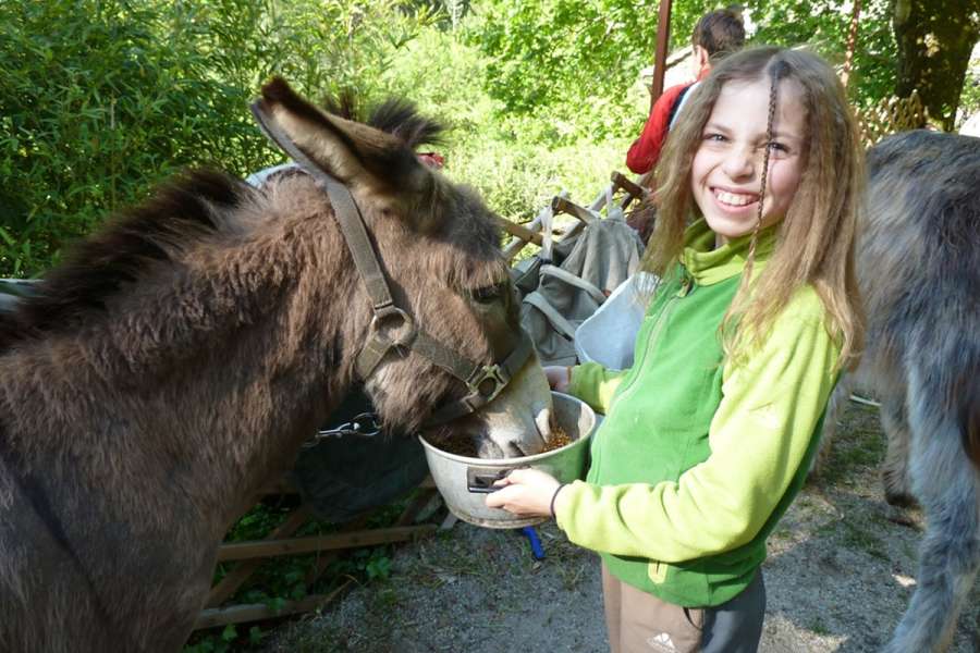 Familienfreundliche Wandertour mit »Langohren« - Cevennen mit Esel