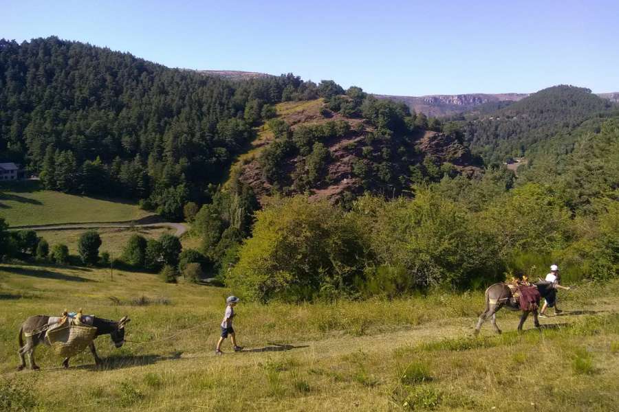 Familienfreundliches Eselwandern in den westlichen Cevennen - Wanderung