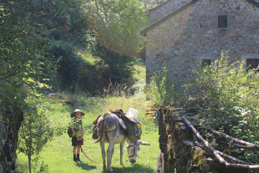 Familienfreundliches Eselwandern in den westlichen Cevennen - Wanderung