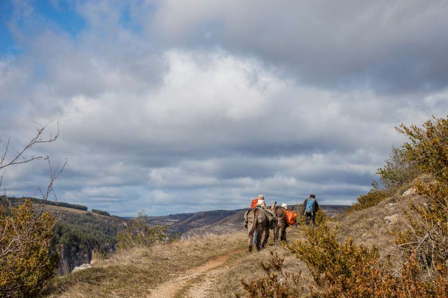 Familienfreundliches Eselwandern in den westlichen Cevennen - Wanderung