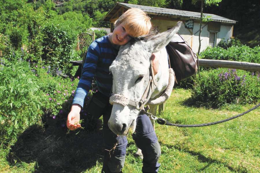 Familienfreundliches Eselwandern in den westlichen Cevennen - Wanderung