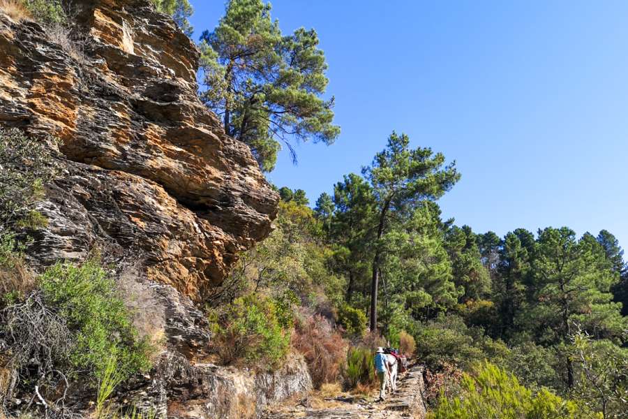 Eselwandern in den südlichen Cevennen - Cevennenwanderung