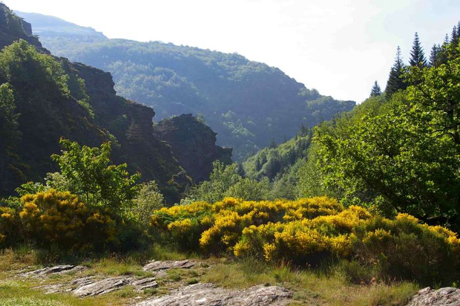 Eselwandern in den südlichen Cevennen - Wanderung