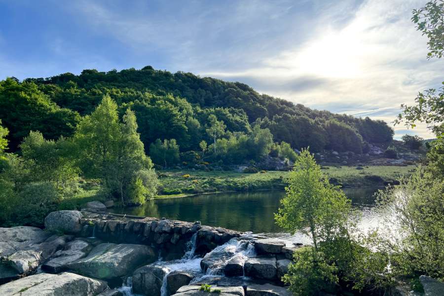 Die kleine Mont Lozère Eselwanderung - Cevennen