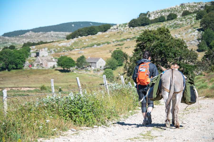 Die kleine Mont Lozère Eselwanderung - Cevennen