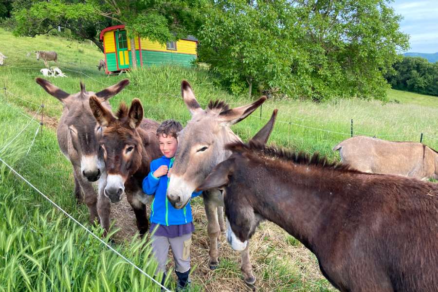 Familienfreundliche Eselwanderung in der Drôme - Kinder & Esel