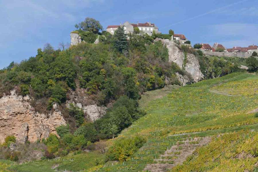 Standortwanderung Südlicher Jura - Wein