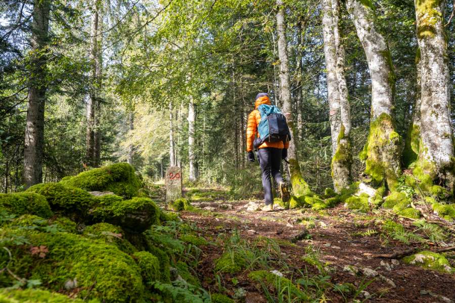 Standortwanderung Jura: Am Grenzfluss Doubs - Wanderung Jura