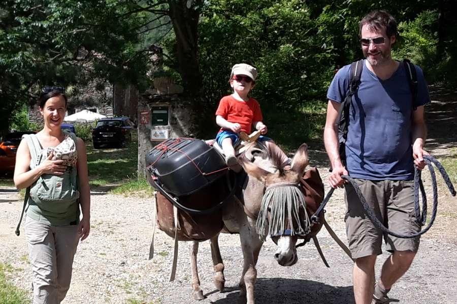 Wandern mit Kleinkindern und Esel - Wanderung
