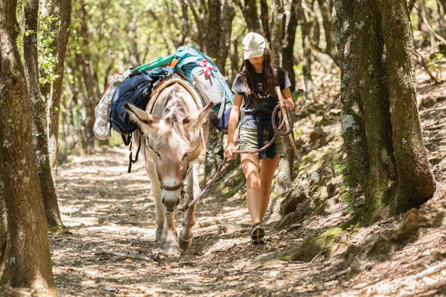 Wandern mit Kleinkindern und Esel - Eselwandern
