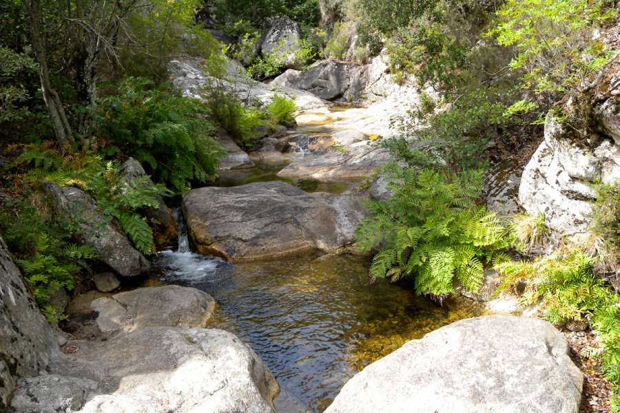 Korsika - Wanderreise in der Alta Rocca - Wanderung