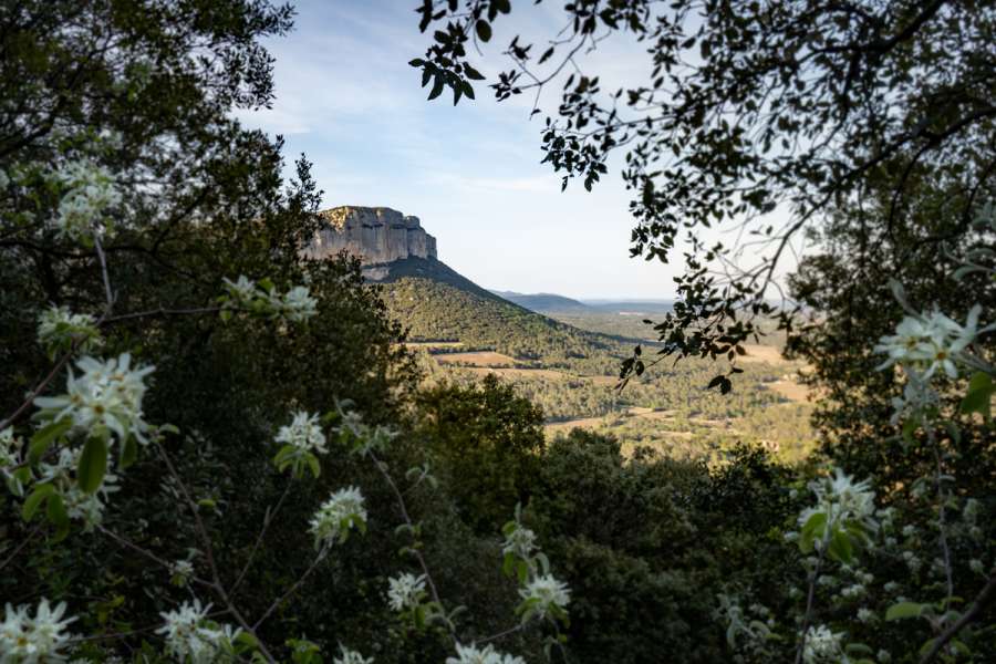 Wandern am Pic Saint-Loup - Umgebung