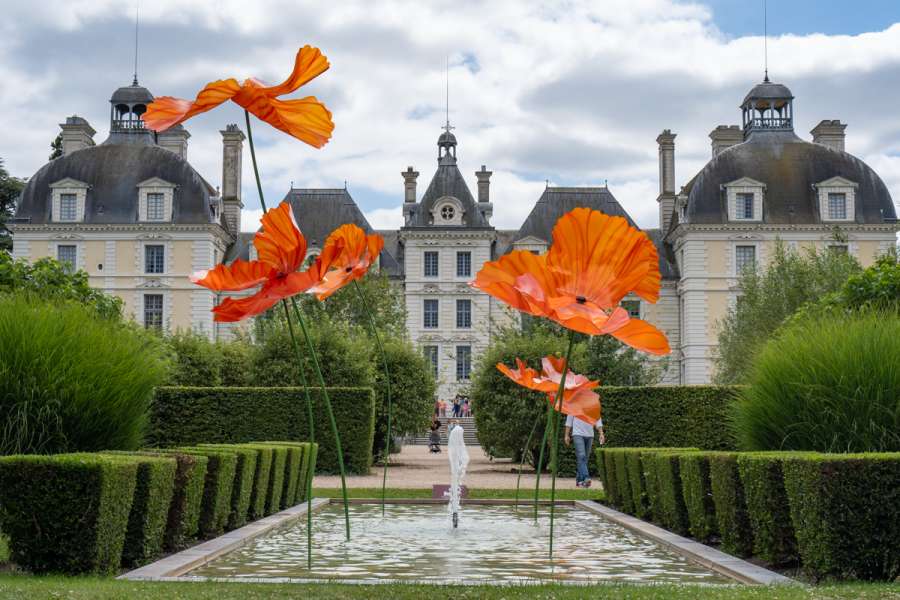 Familienfreundliche Eselwanderung im Loiretal - Schlossbesuch
