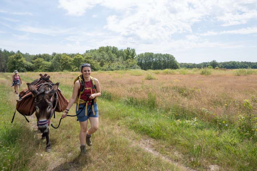 Familienfreundliche Eselwanderung im Loiretal - Eselwandern