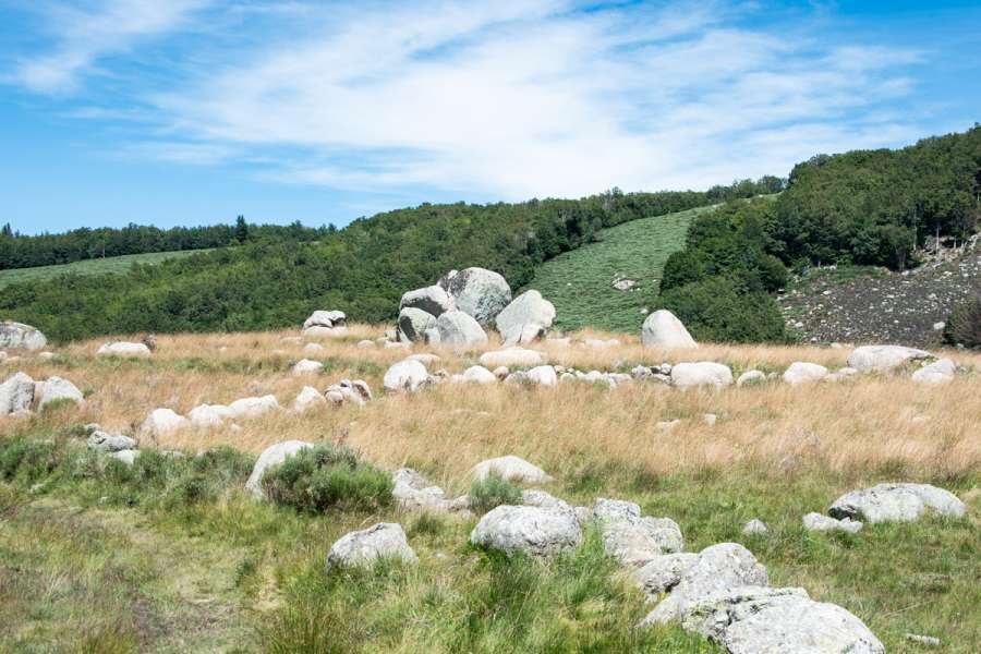 Rundwanderung Mont Lozère - Hochebene