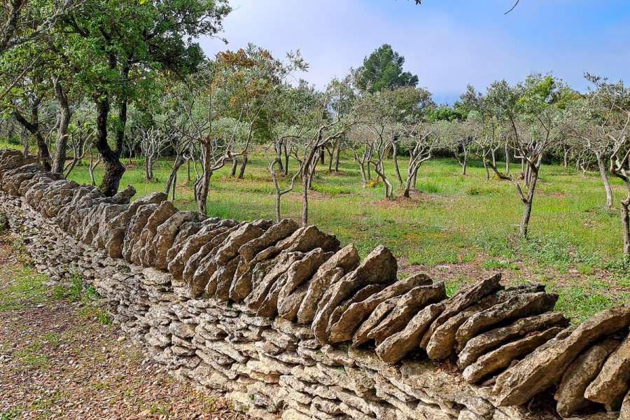 Wanderreise Bastide im Luberon - Wanderung