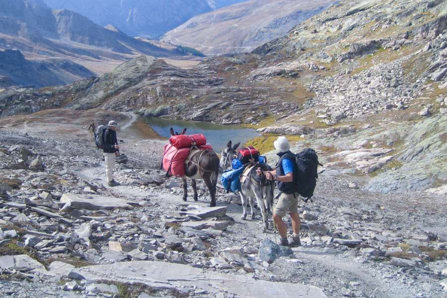 Eselwanderung im Queyras - Wanderung