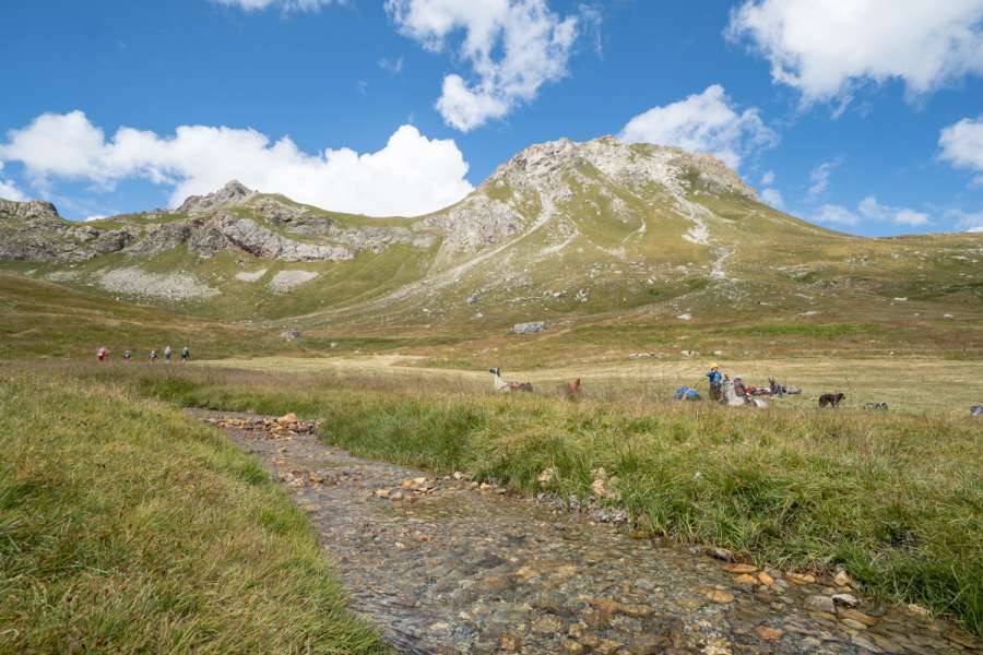 Eselwanderung im Queyras - Hochebene