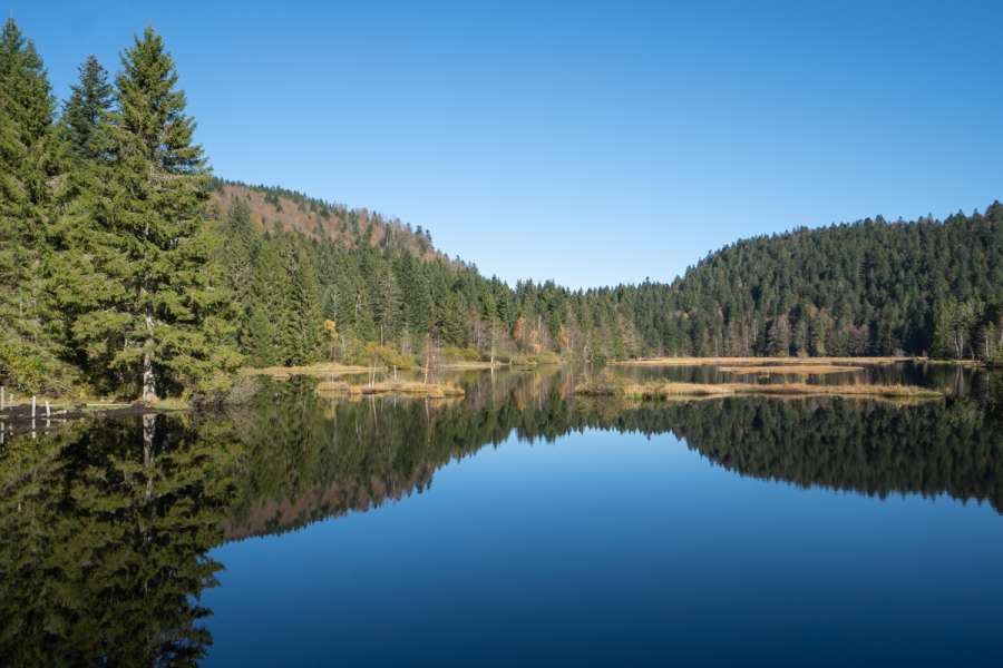 Standortwanderung Vogesen - Wanderung