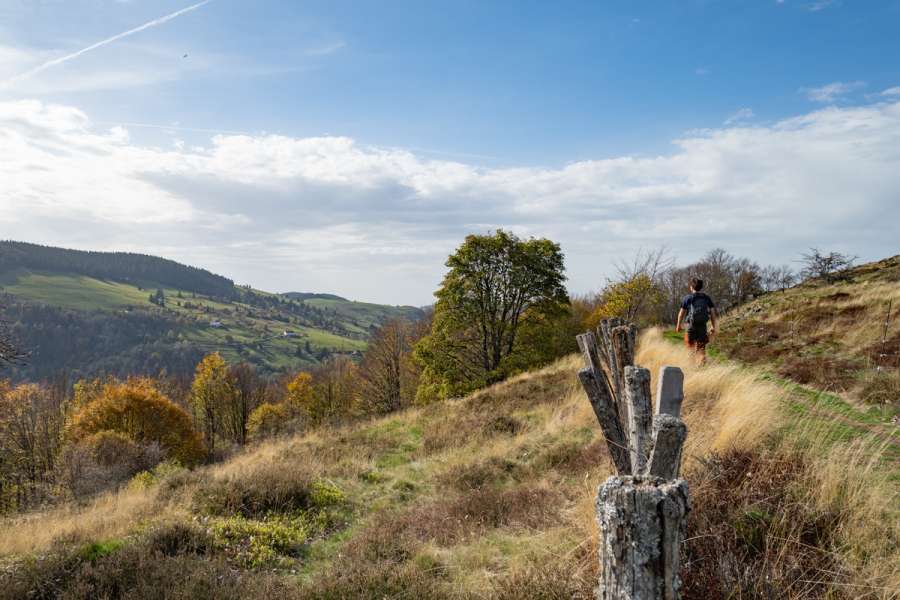 Standortwanderung Vogesen - Wanderung