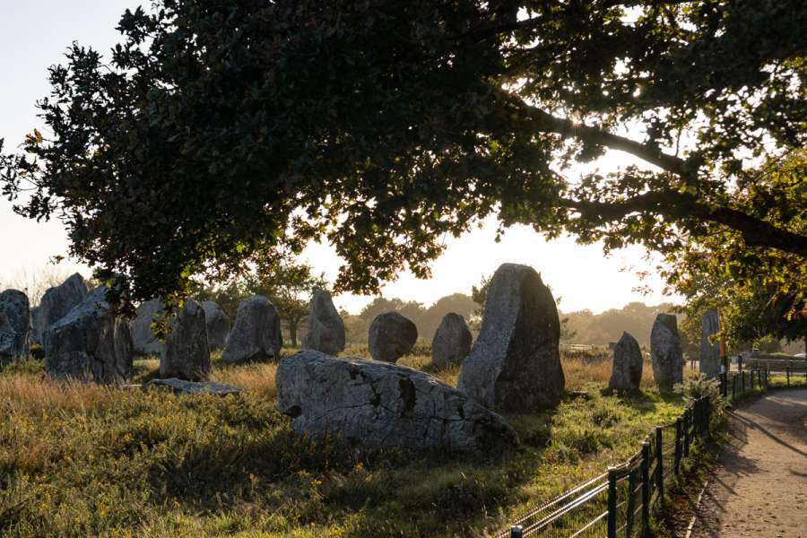 Bretagne: Die Steinreihen von Carnac - Steinreihen